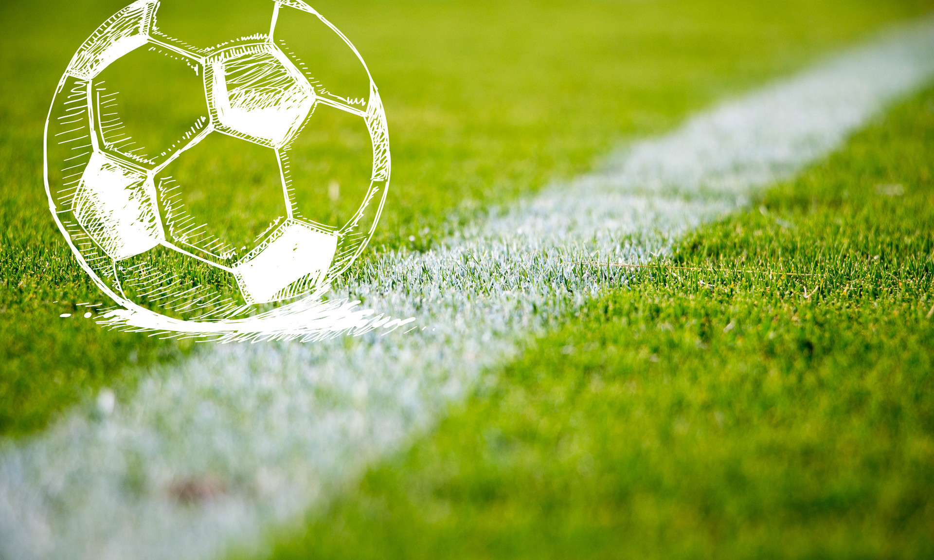 也是广东队 也是广东队