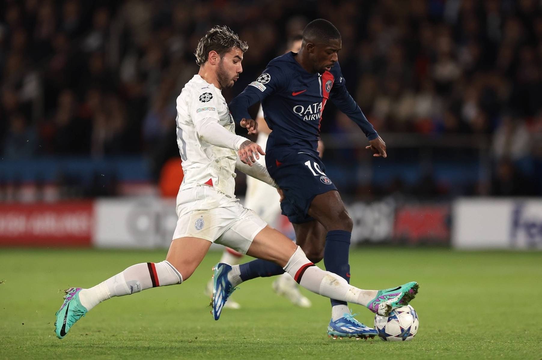 叶插上了翅 叶插上了翅